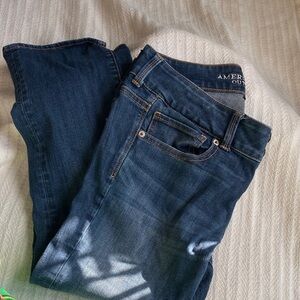 American eagle woman’s size 10 artist crop jeans double button